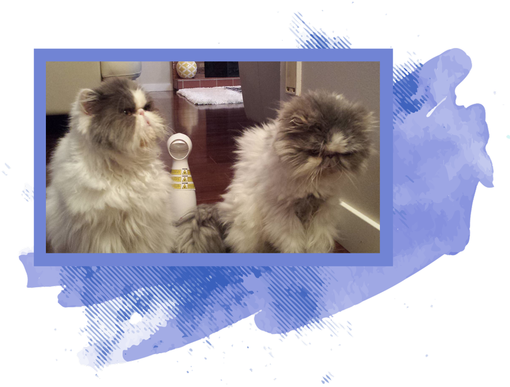 Placeholder Picture