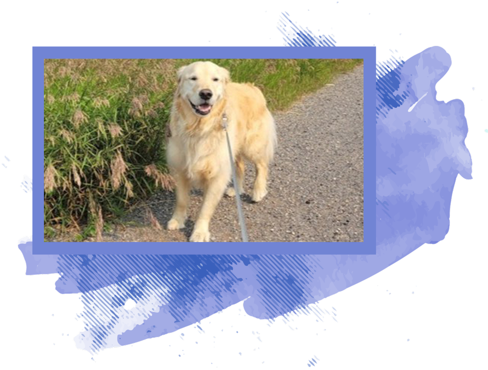 Placeholder Picture